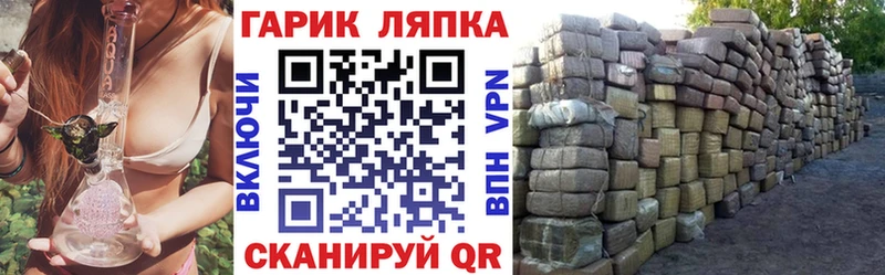 ГАШ Изолятор Зубцов