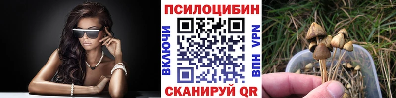 Купить закладки  Зубцов  Галлюциногенные грибы прущие грибы 