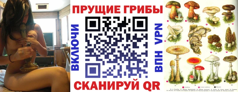Псилоцибиновые грибы Cubensis Зубцов
