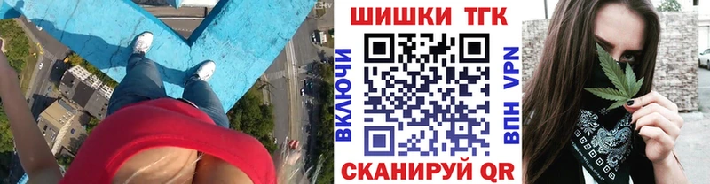 Купить  Зубцов  Бошки Шишки план 